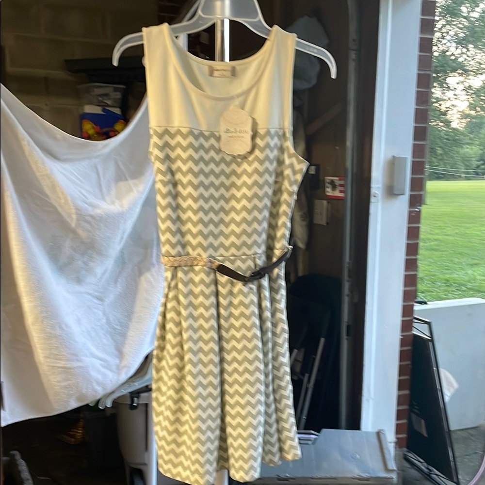 Altar'd State Chevron Patterned Mini Dress
